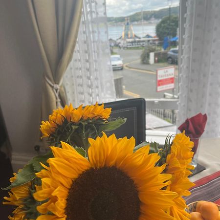 兰迪德诺 Bella Vista酒店 外观 照片